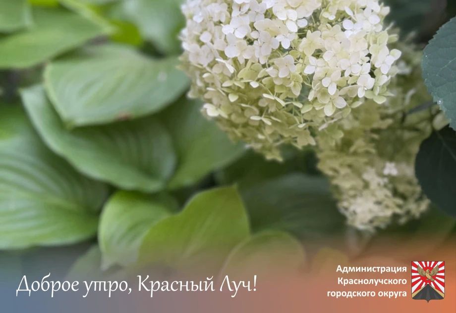 Доброе утро, краснолучане и гости города!