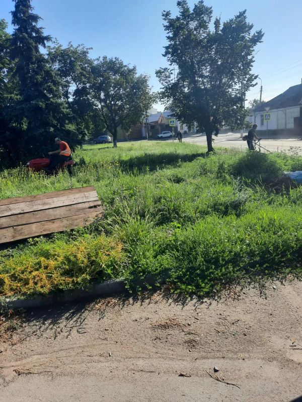 МУП «СКАТ» проводит плановую очистку бордюров и покос травы на прилегающих территориях