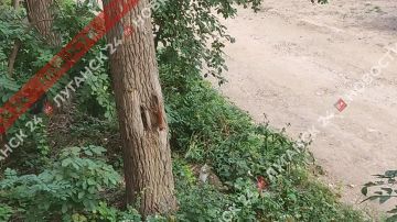 ����� �������� � �������� ������ � �������� �������� � ��������