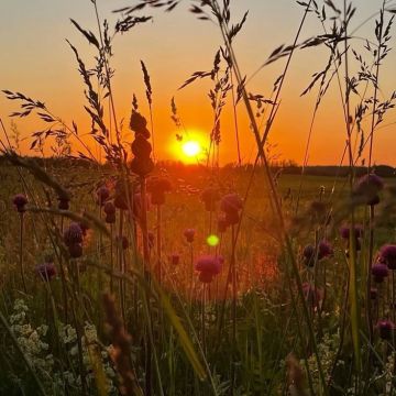 � ������ �����, ������� ������ �������������� �������������� ������!