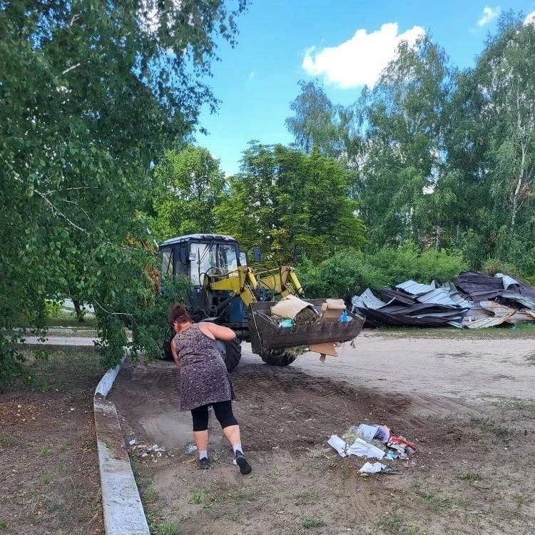 В Старобельске ликвидировали несанкционированную свалку возле колледжа