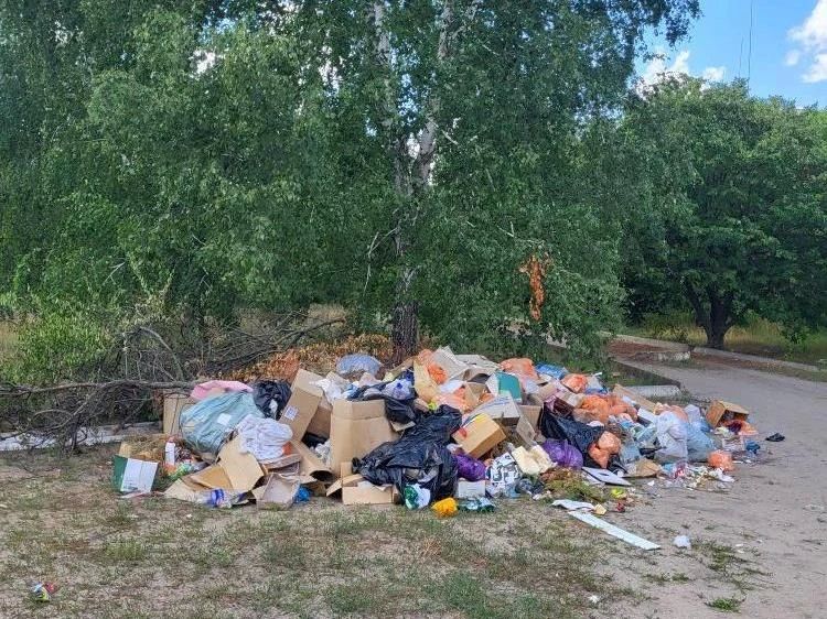 Несанкционированную свалку возле Старобельского колледжа, о которой мы писали ранее, убрали