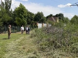Активисты помогли привести в порядок территорию у санатория «Незабудка»