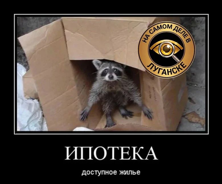 В Госдуме предложили заменить ипотеку льготной арендой жилья для многодетных семей и граждан с низким доходом