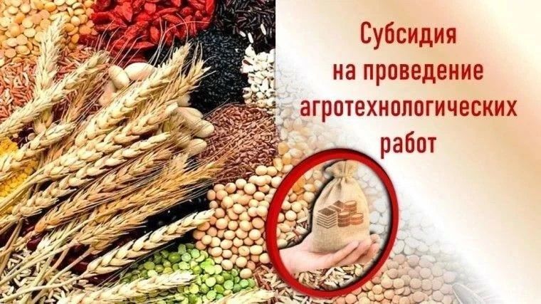 СУБЪЕКТЫ МСП В СФЕРЕ СЕЛЬСКОГО ХОЗЯЙСТВА МОГУТ ПОЛУЧИТЬ ГОСУДАРСТВЕННУЮ ПОДДЕРЖКУ