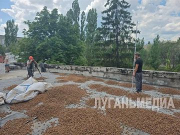 В детском саду «Сказка» города Первомайска активными темпами ведутся капитальные работы по обновлению кровли