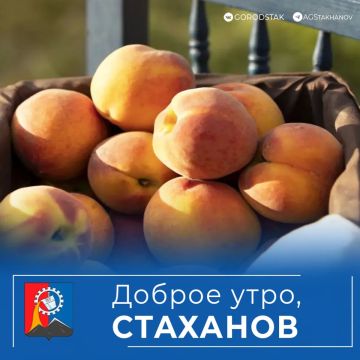 Суббота пришла — выходные начались!