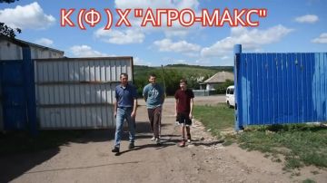 ����� �������: ������� ��������� �� ������ ����������������� ����