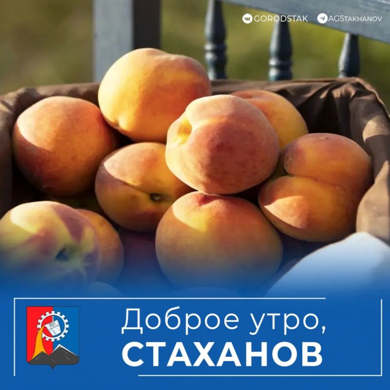 Суббота пришла — выходные начались!