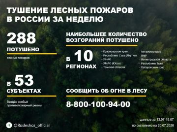 По данным Авиалесоохраны, подведомственной организации Рослесхоза, за прошедшую неделю потушено 288 лесных пожаров в 29 регионах России