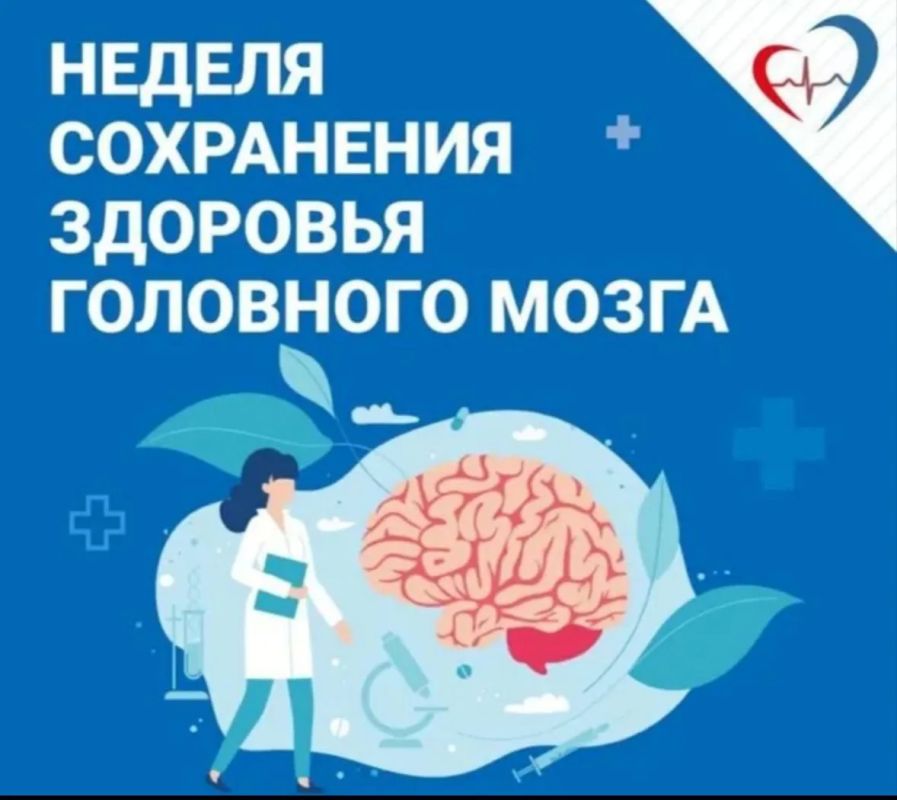 Как связаны кишечник и мозг