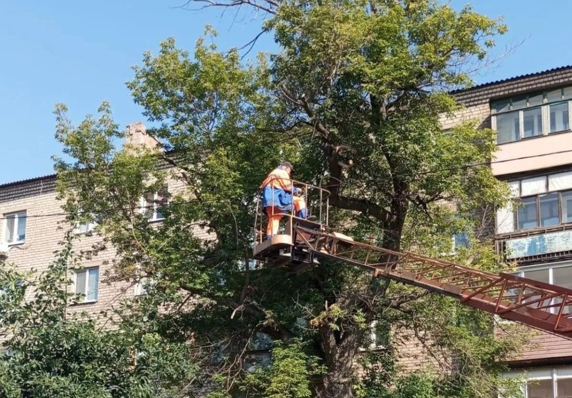 Коммунальными службами проведены работы на территории города