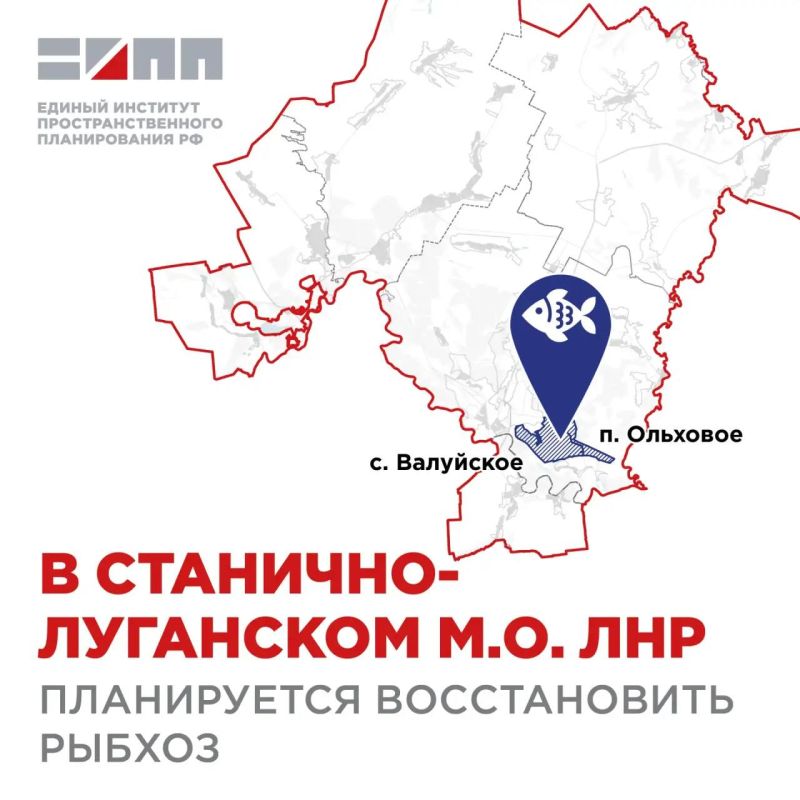 Единый институт пространственного планирования (ЕИПП) РФ в рамках генерального плана Станично-Луганского округа предложил к 2030 году восстановить рыбхоз в районе поселка Ольховое и села Валуйское