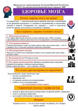 Ваш мозг — ваш главный союзник