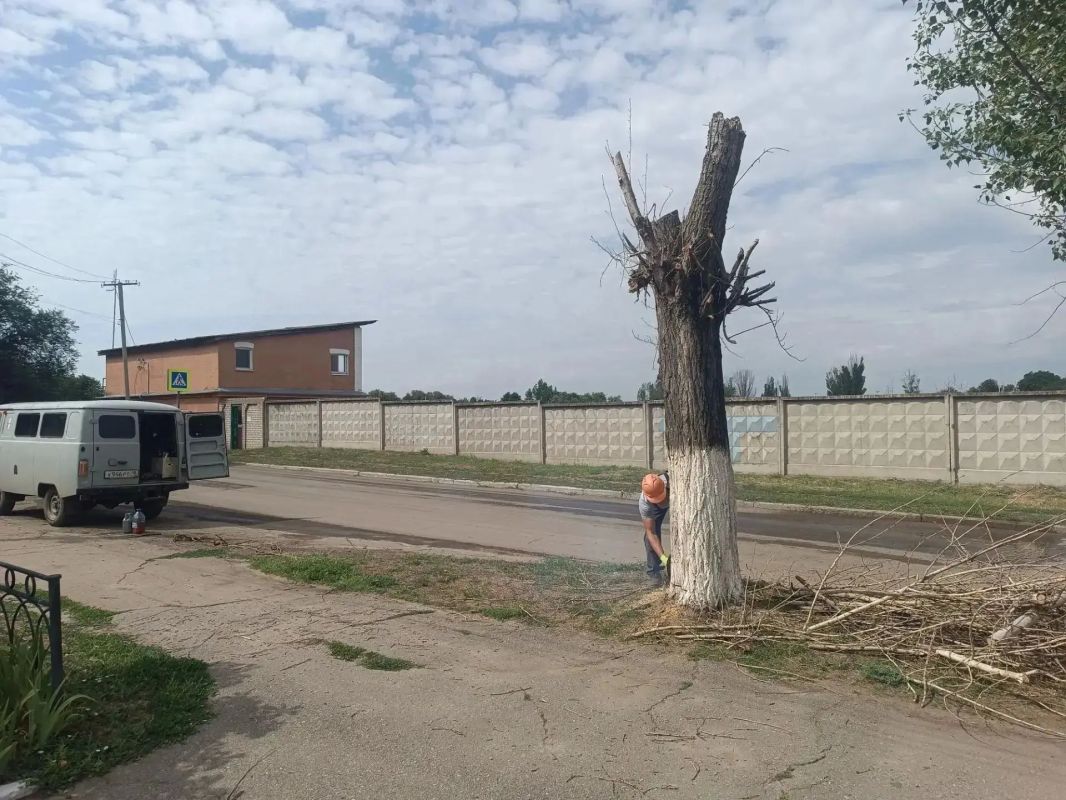 Аварийная бригада из Удмуртии ликвидировала опасное дерево в Лутугино
