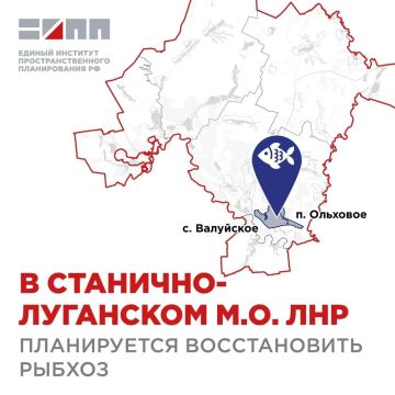 В Станично-Луганском муниципальном округе планируют возродить рыбхоз в районе Ольхового и Валуйского