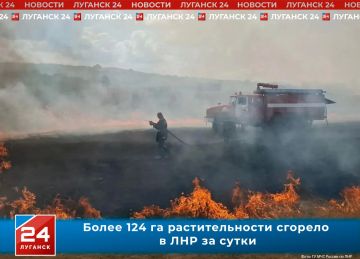 ���������� � ����: �� ����� � ������� ������� ����� 124 ������� ��������������