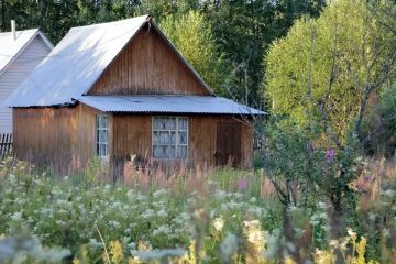 Что грозит нерадивым хозяевам земли в ЛНР и как не потерять участок