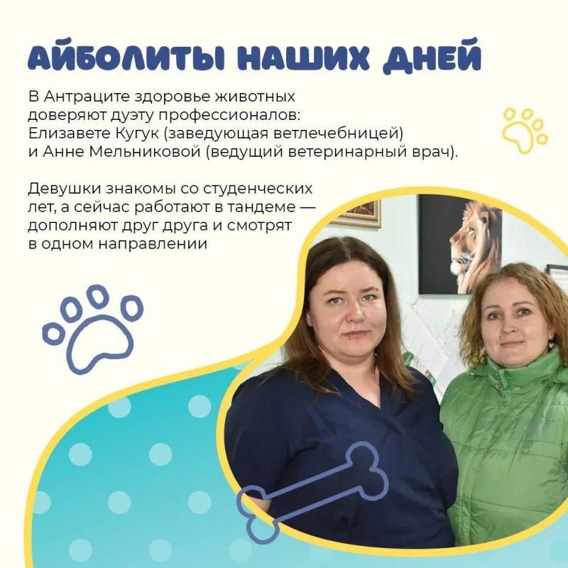 Там, где лечат с любовью. Елизавета и Анна из Антрацита каждый день доказывают: быть ветеринаром — значит не только лечить, но и беречь, понимать, чувствовать