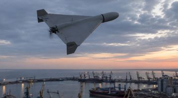 Армия Россия уничтожила за день четыре сухогруза и балкер с военными грузами для ВСУ