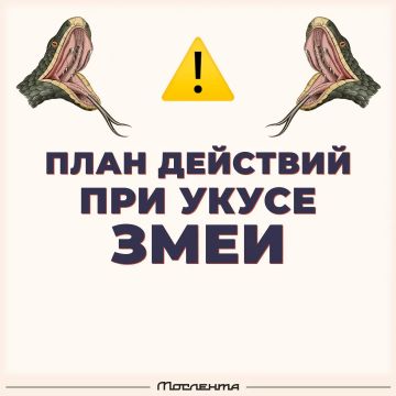 Экстренная помощь при укусе змеи