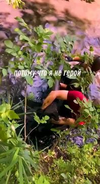 Потому что у нас так принято, мы с Донбасса