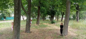 В ДК им. Т. Г. Шевченко пгт Большекаменка было проведено учебное занятие «Юный шахматист», направленное на интеллектуально-творческое развитие детей посредством обучения игре в шахматы