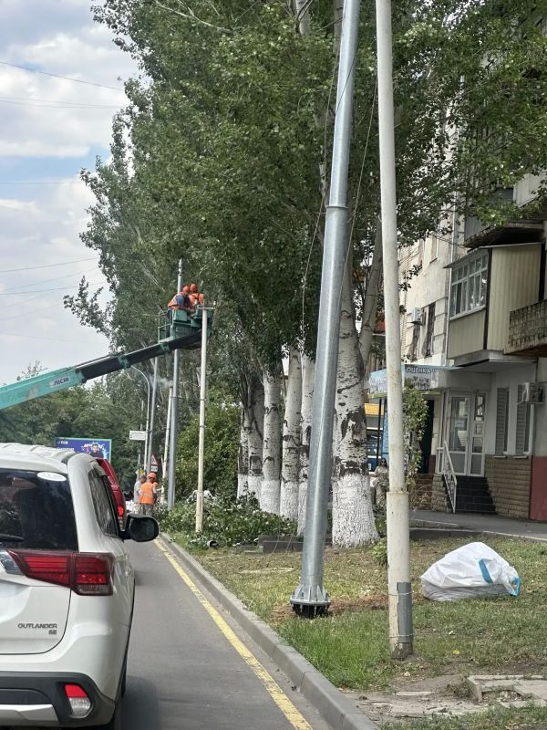 Аварийно-спасательная служба удалила и обрезала более 40 деревьев
