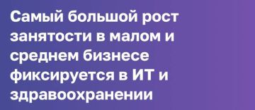 Корпорация МСП: здравоохранение и ИТ — лидеры по росту занятости в малом и среднем бизнесе