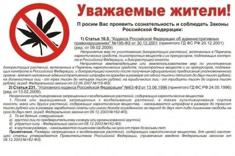 На территории округа начался сезон активного роста сорной растительности, дикорастущей конопли и мака, содержащих наркотические вещества