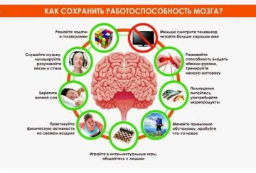 Неделя сохранения здоровья головного мозга: чистота, которая спасает ваши нейроны
