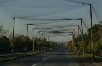 Автомобильные трассы в Брянской области защитят сетями от дронов