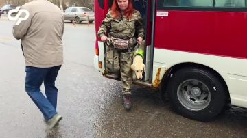 Передаем привет от Росинки