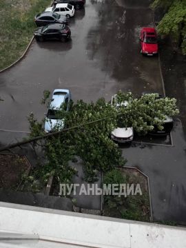� ���������� �� ������ ���������� 23 ��-�� ������� ����� ������