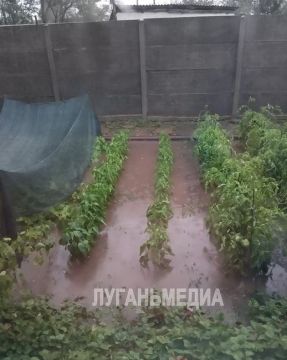 ���� ���������� �� �������������� ������ ������� ����������, ������� �������� ������