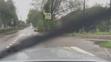 ������� ��������: ���������� ������� � ���������� �������: ����������� �������� � ��������