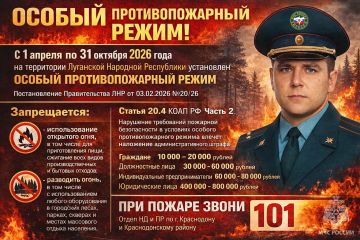 Оперативная информация по пожарам на 27 июля