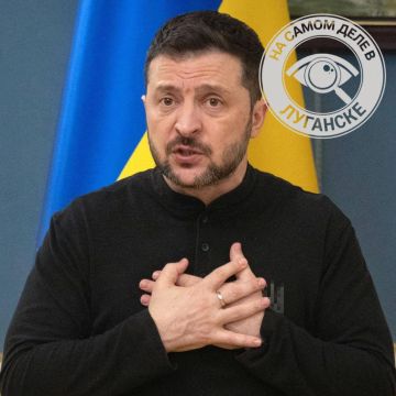 В Польше резко ухудшилось отношение к Зеле