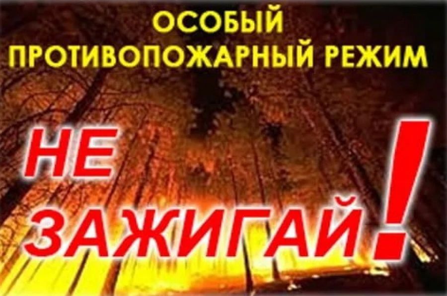 Напоминаем, что на территории ЛНР действует особый противопожарный режим, который ужесточает административную и уголовную ответственность для нарушителей