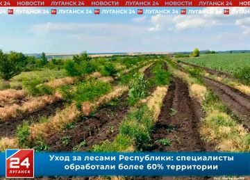 ���� �� ������ ����������: ����������� ���������� ����� 60% �������� �� �������� �����