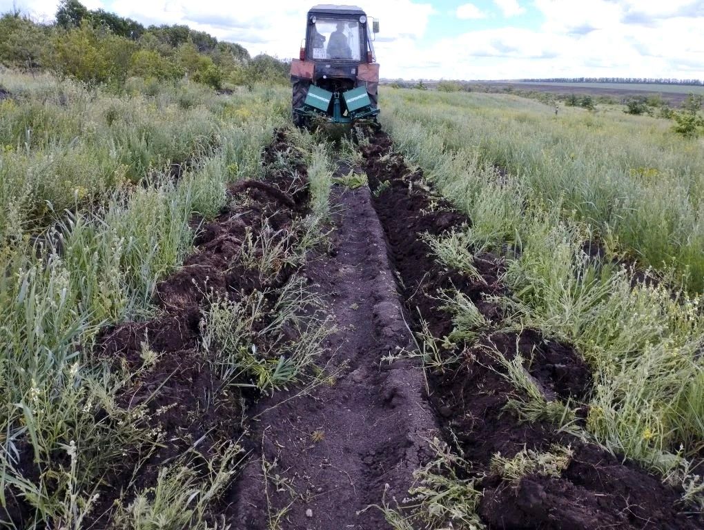 Агротехнический уход за лесами Республики выполнен на площади 480 гектар – более 60% от годового плана