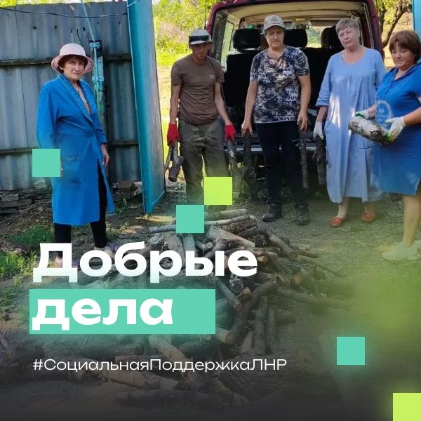 В рамках акции "Добрые дела" матери участника СВО помогли в заготовке дров
