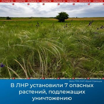 � ��� ���������� 7 ������� ��������, ���������� �����������