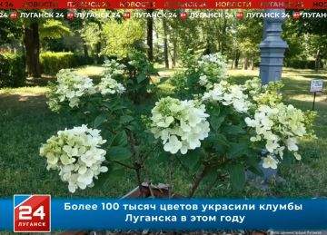 ����� 100 ����� ������ �������� ������ �������� � ���� ����