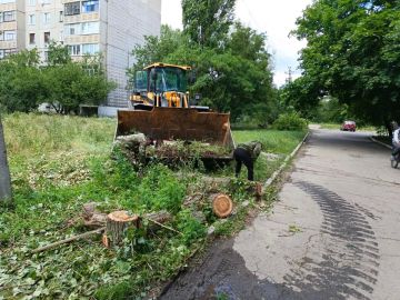 Чистота и порядок – результат ежедневного труда работников коммунальной сферы