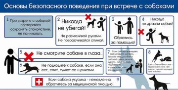 ������� � �������� �������: ������������ � ������� �����