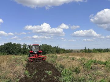 На данный момент в округе продолжается работа по обновлению минерализованных полос в рамках реализации Плана основных мероприятий по подготовке к пожароопасному сезону 2026 года