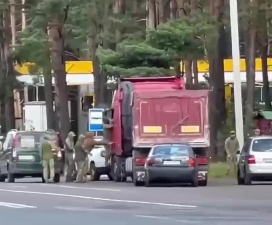 Тарантиновская сцена разыгралась на Западной Украине