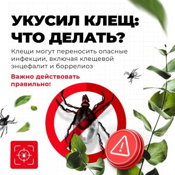 Как защитить себя от клещей?