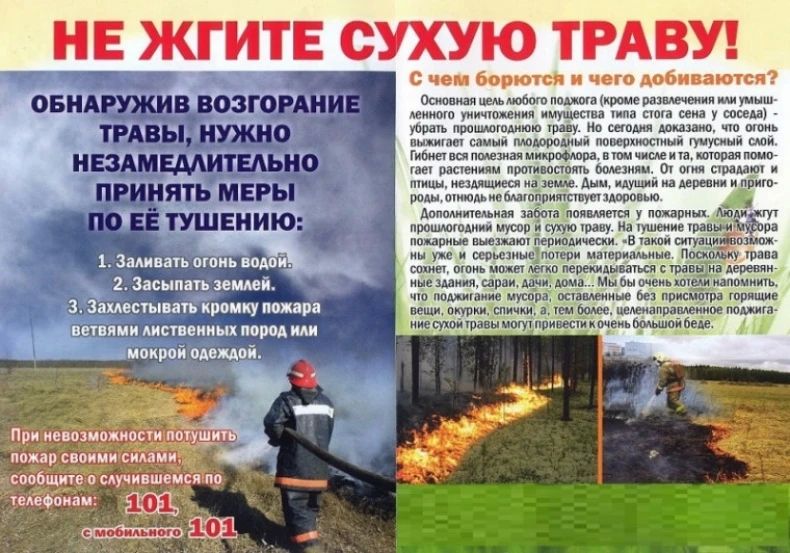 Человек главная угроза!. Пал сухой травы запрещен! Вот лишь некоторые аргументы против выжигания сухой травы: